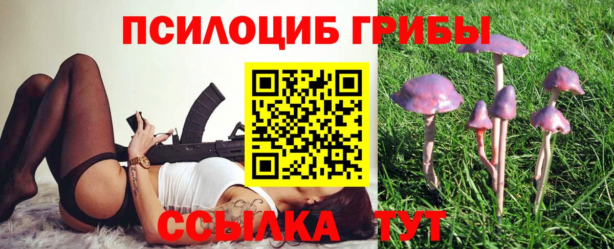 Галлюциногенные грибы Magic Shrooms Астрахань