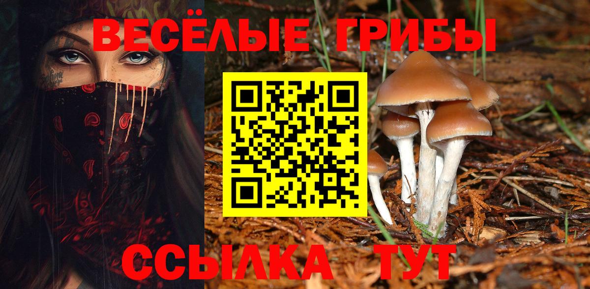 где купить наркоту  Псилоцибиновые грибы GOLDEN TEACHER  Галлюциногенные грибы Psilocybine cubensis  Вход с VPN  Астрахань 